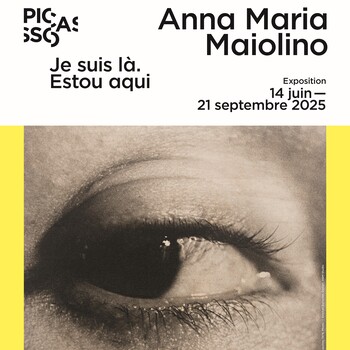Exposition Anna Maria Maiolino, musée Picasso Paris