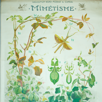 Exposition Etats-limites, LaM à l'Espace Culture et la Cité Scientifique