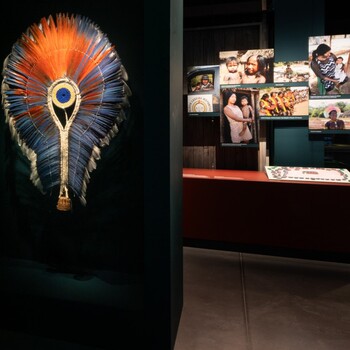 Exposition Amazonies, musée des Confluences Lyon
