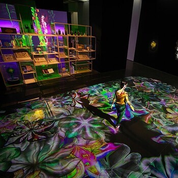 Exposition Digital Floralia, musée des Beaux-Arts Angers