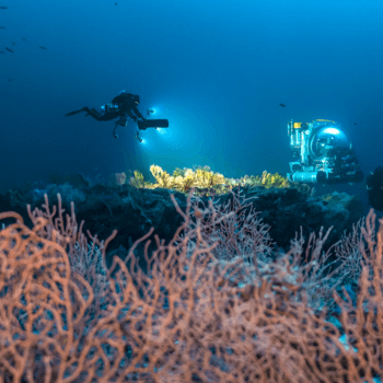Exposition Le mystère des anneaux, musée des Confluences Lyon