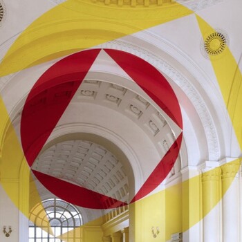 Exposition Felice Varini, Palais des Beaux-Arts Lille