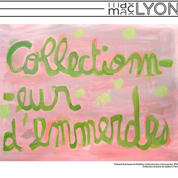 Exposition Désordres collection Antoine de Galbert MAC Lyon