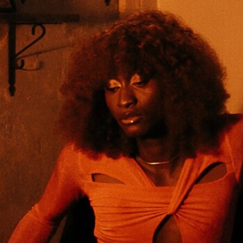 Exposition Peas in a pod, Institut pour la photographie, Lille