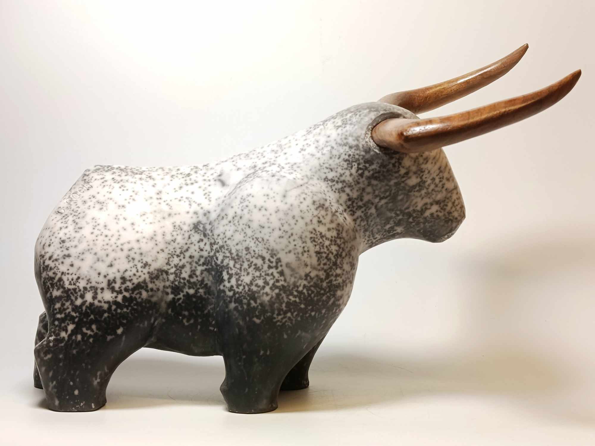 Roche Clarisse | Artiste Contemporain : Oeuvres & Biographie