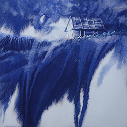 Langeron Stéphane | Contemporary Artist: Artworks & Biography