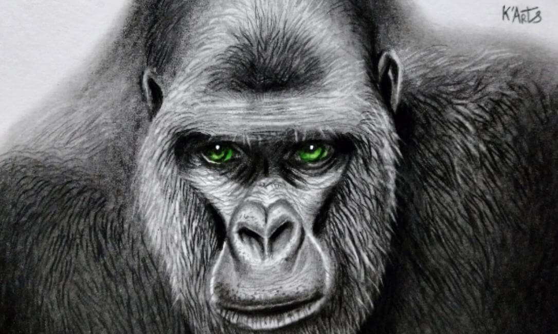 K'Arts | Contemporary Artist: Artworks & Biography