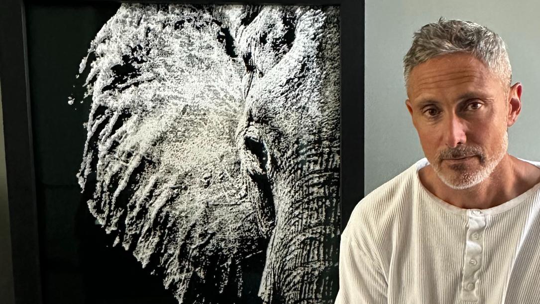 Maitre YA | Artiste Contemporain : Oeuvres & Biographie