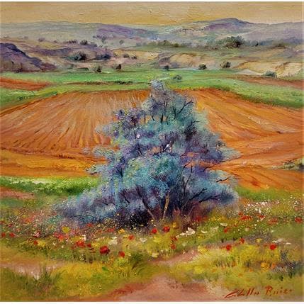 Peinture Flor del espino par Cabello Ruiz Jose | Tableau Figuratif Huile Paysages