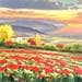 Peinture Poppies in the afternoon II par Requena Elena | Tableau Huile