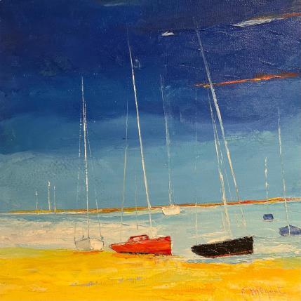 Peinture Les fiers d'Aras par Menant Alain | Tableau Figuratif Acrylique Marine