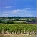 Painting Vignes vers Châteauneuf-du-Pape by Giroud Pascal | Painting Oil