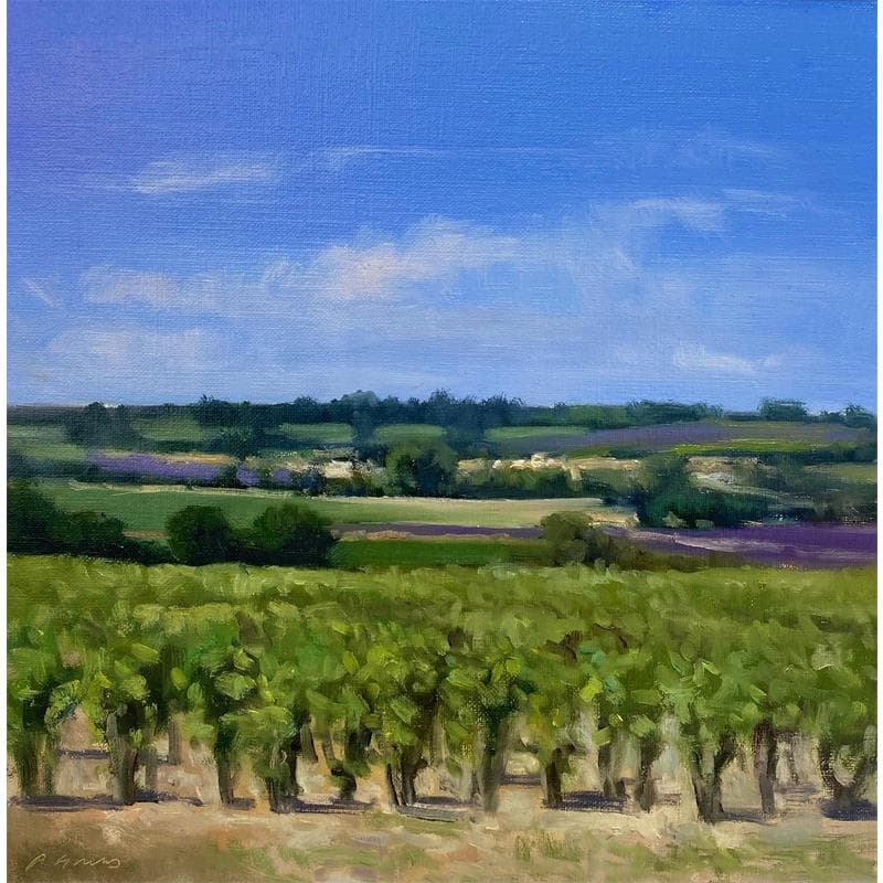 Painting Vignes vers Châteauneuf-du-Pape by Giroud Pascal | Painting Oil