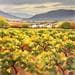 Peinture Next to the wineyards par Requena Elena | Tableau Huile