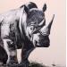 Pintura Rhinoceros  por Locoge Alice | Pintura Acrílico