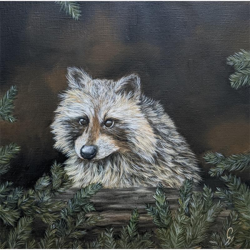 Peinture Raton laveur par Pressac Clémence | Tableau Figuratif Animaux Huile