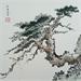 Painting Pine tree by Du Mingxuan | Painting Figurative Landscapes Nature Watercolor Ink