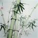 Painting Bamboos by Du Mingxuan | Painting Figurative Nature Watercolor Ink