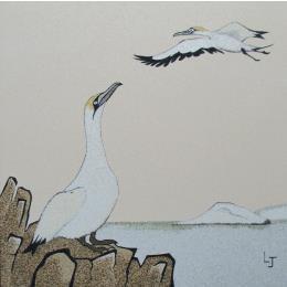 Peinture Fous de bassan par Jovys Laurence  | Tableau Matiérisme Sable Animaux, Marine, Paysages