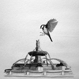 Peinture Aix en provence mésange par Mü | Tableau Art naïf animaux, noir & blanc, Urbain