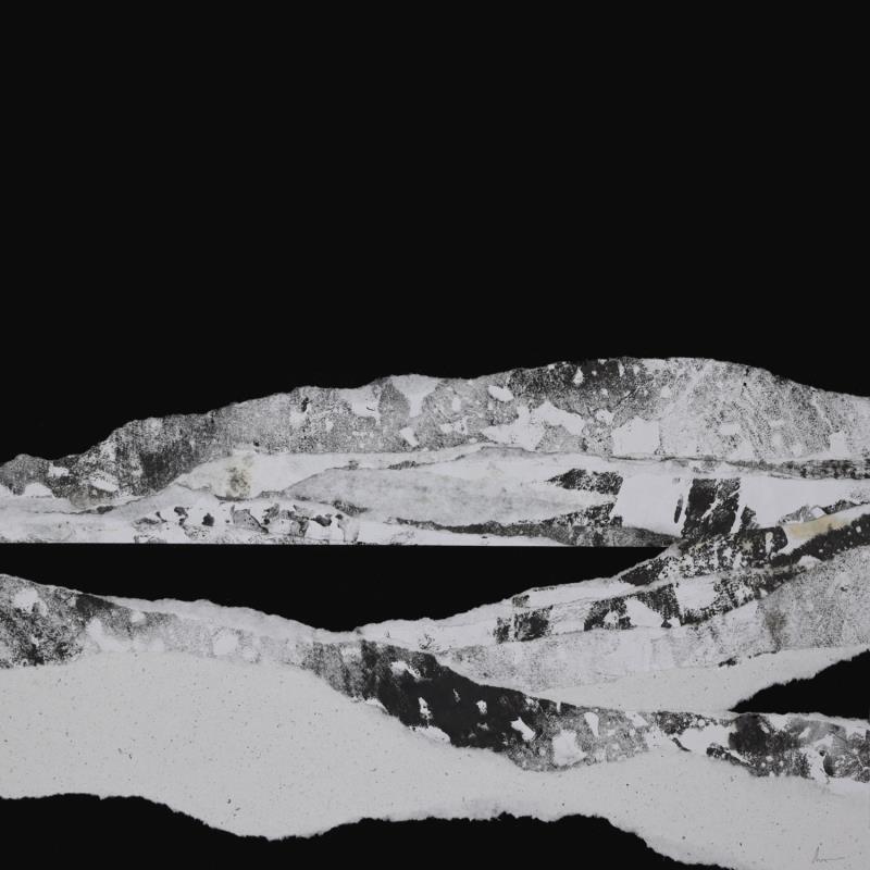 Peinture #14 from the series The Land Seems Inhabited to Them  par Sousa de Sousa Bárbara | Tableau Abstrait Paysages Minimaliste Noir & blanc Collage