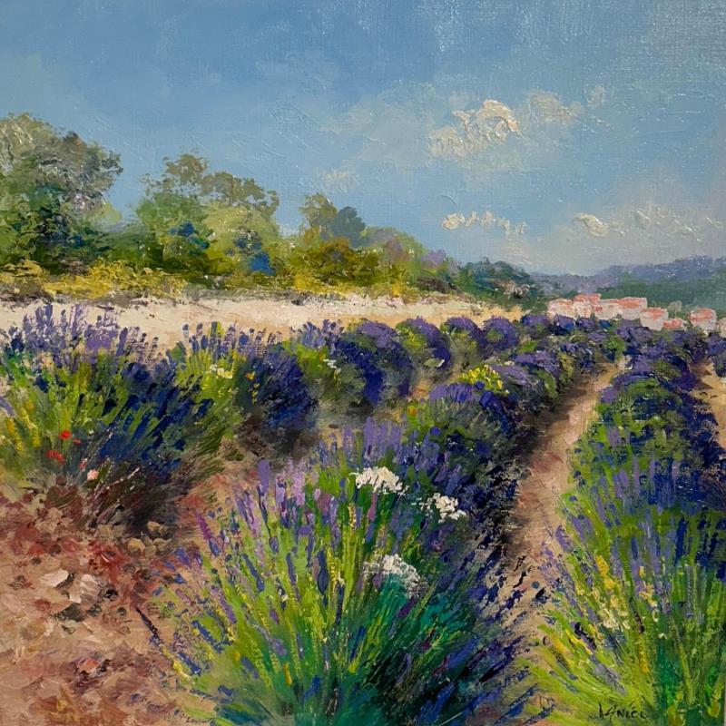 Peinture Un parfum de lavande par Sannier Daniel | Tableau Figuratif Huile