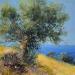 Painting Oliviers avec les hauteurs de Paros by Sannier Daniel | Painting Figurative Oil