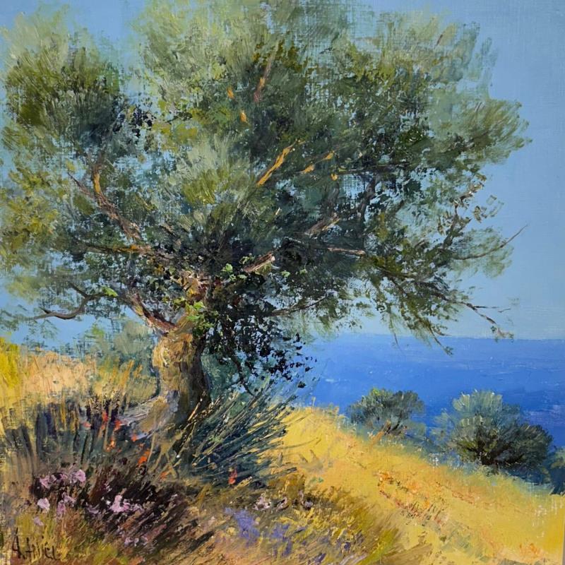 Painting Oliviers avec les hauteurs de Paros by Sannier Daniel | Painting Figurative Oil