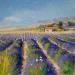 Painting Plateau de Valensole by Sannier Daniel | Painting Figurative Oil