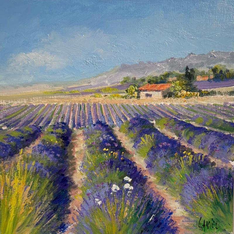 Painting Plateau de Valensole by Sannier Daniel | Painting Figurative Oil