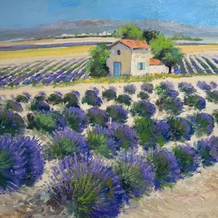 Peinture Cabanon dans le luberon par Sannier Daniel | Tableau Figuratif Huile