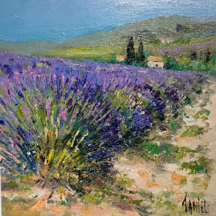 Peinture Chemin dans les lavandes par Sannier Daniel | Tableau Figuratif Huile