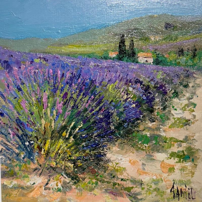 Painting Chemin dans les lavandes by Sannier Daniel | Painting Figurative Oil