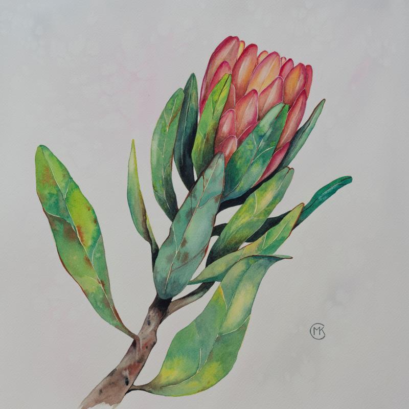 Gemälde King protea von Kuprina Carle Maria | Gemälde Figurativ Natur Aquarell