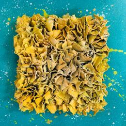 Painting C'est l'été ! by Dalloz Julie | Painting Subject matter Graffiti, Textile, Upcycling, Wood