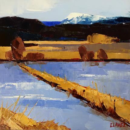 Painting Marais de Lavours by Clavel Pier-Marion | Painting Figurative Oil, Wood Landscapes