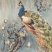 Painting Peacock  by Yu Huan Huan | Painting Figurative Nature Animals Watercolor Ink