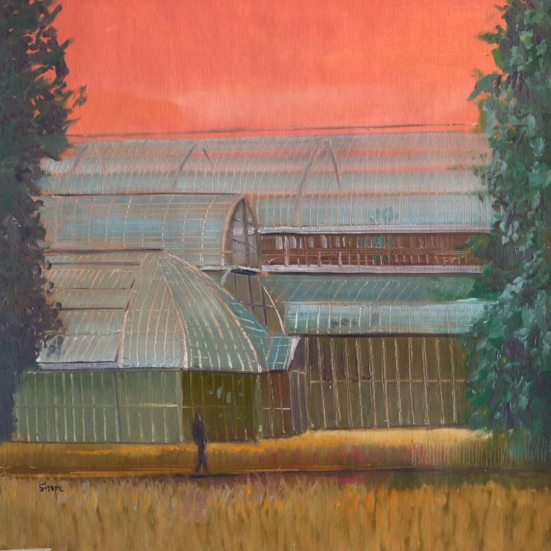 Painting Les grandes serres du parc de la Tête d'Or by Sirope Rémy | Painting Figurative Architecture Oil