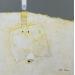 Peinture Abstract white B48 par Wilms Hilde | Tableau Abstrait Minimaliste Collage