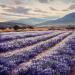 Painting Breathing lavender by Requena Elena | Painting Figurative Landscapes Nature Oil