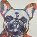 Peinture Ma boule d'amour mon frenchy bouldogue par Schroeder Virginie | Tableau Pop-art Icones Pop Acrylique