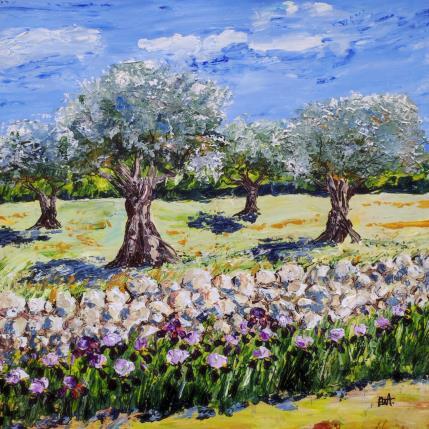 Painting Couleurs des oliviers. by Rey Ewa | Painting Figurative Acrylic Landscapes
