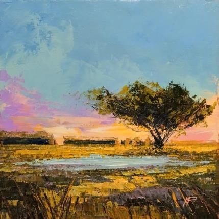 Gemälde La laguna von Max Pedreira | Gemälde Impressionismus Acryl Landschaften