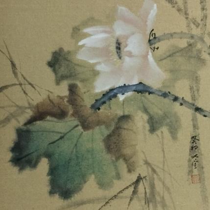 Gemälde Lotus von Du Mingxuan | Gemälde Figurativ Aquarell, Tinte Natur