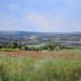 Painting Champs de coquelicots vers Lacoste by Giroud Pascal | Painting Figurative Landscapes Oil