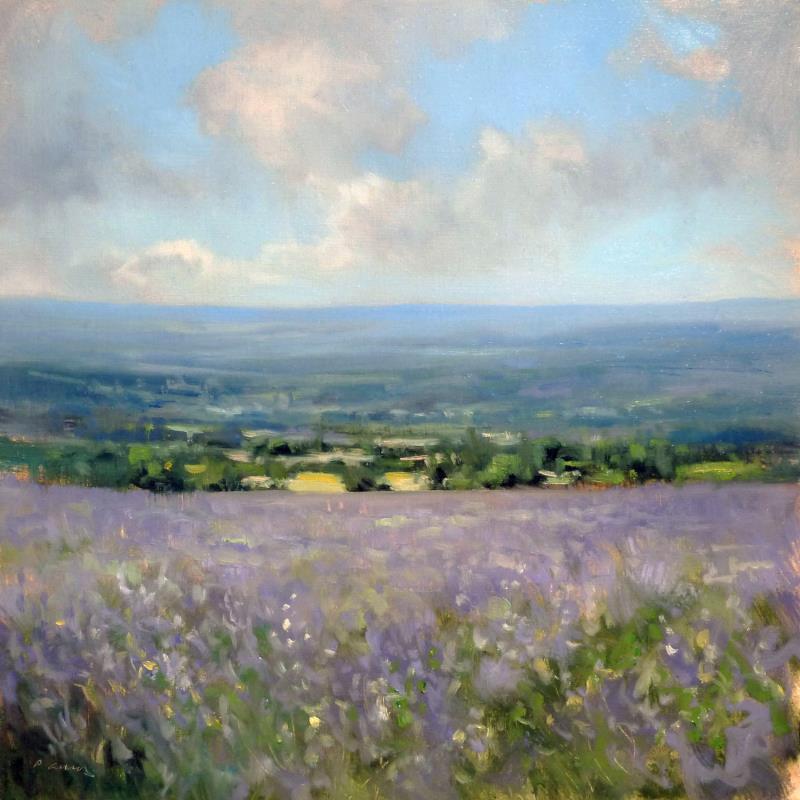 Painting Lavande en Drôme provençale by Giroud Pascal | Painting Figurative Landscapes Oil