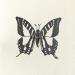 Peinture Papillon #3 par Atalanta Vanessa | Tableau Nature Animaux Noir & blanc Carton Papier