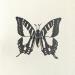Peinture Papillon #3 par Atalanta Vanessa | Tableau Nature Animaux Noir & blanc Carton Papier