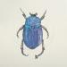 Painting Insecte #3 by Atalanta Vanessa | Painting Nature Animals Cardboard Paper