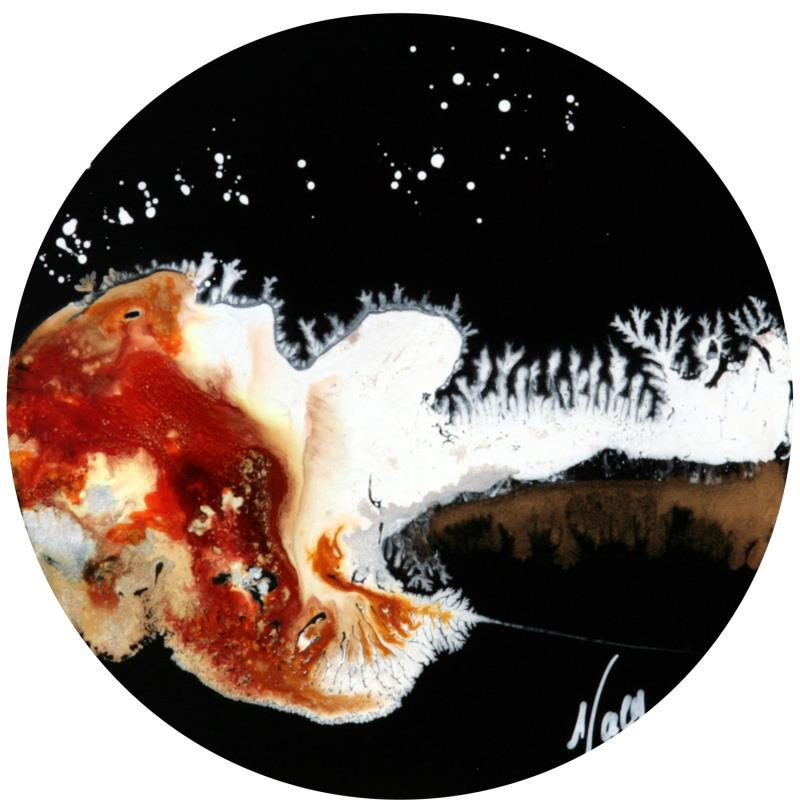 Peinture C2816 par Naen | Tableau Abstrait Acrylique Encre